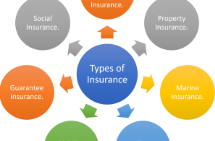 Standard vs. Hybrid Life Insurance: Which Is Better?